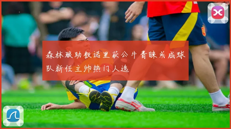 森林狼助教诺里获公牛青睐或成球队新任主帅热门人选