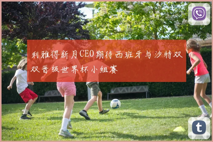 利雅得新月CEO期待西班牙与沙特双双晋级世界杯小组赛